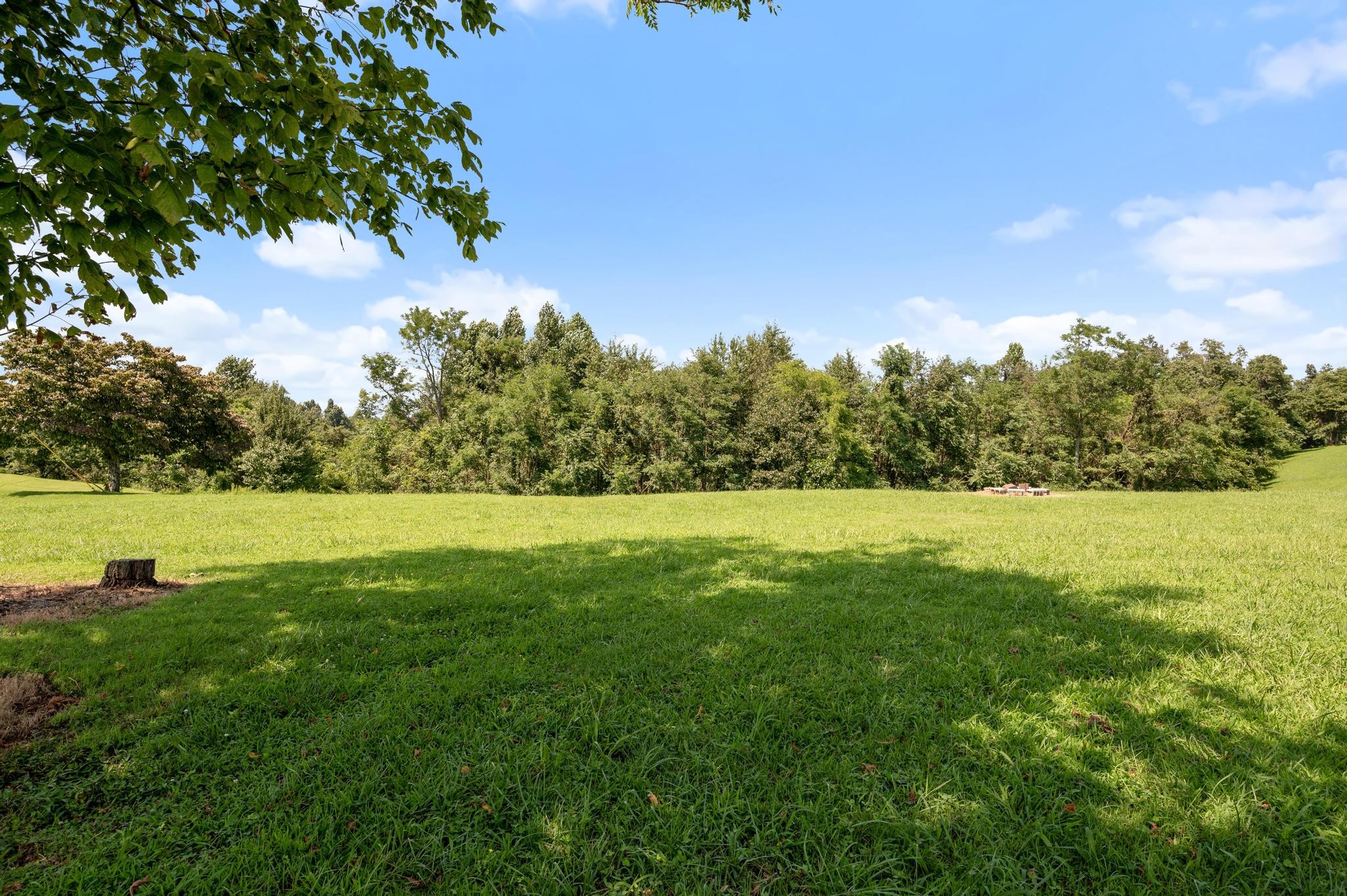 7040 Charity Road Petersburg, TN 37144 - Photo 26 of 36 a view of yard with green space