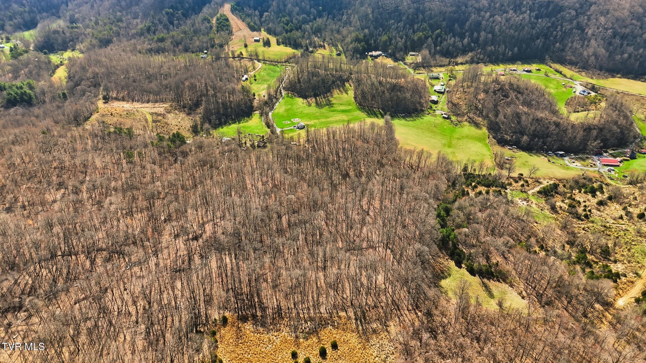 6720 Canton Road Blackwater, VA 24221 - Photo 31 of 36 31_6720 canton rd-11