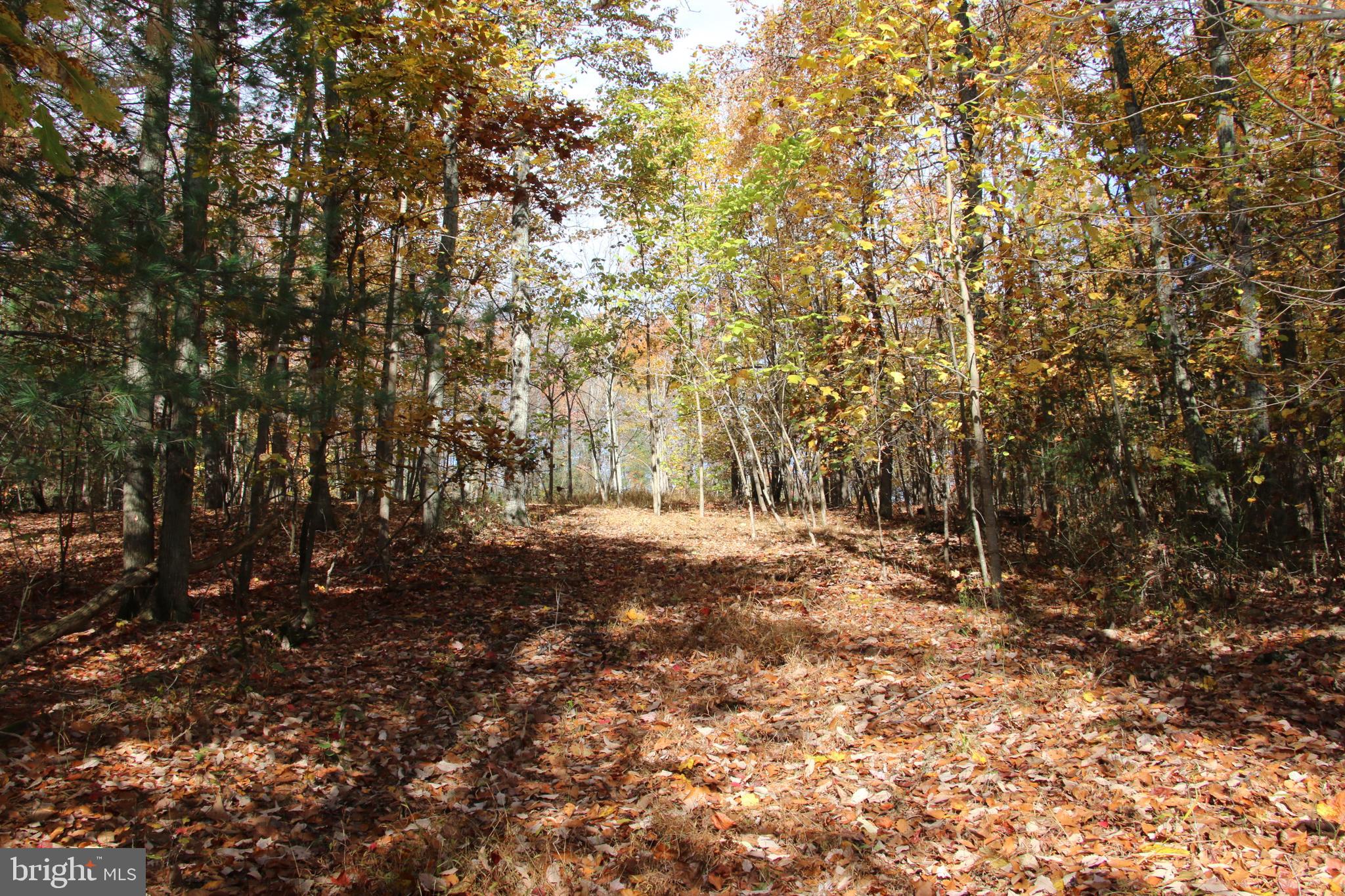 Eagles Nest Lane Castleton, VA 22716 - Photo 11 of 53