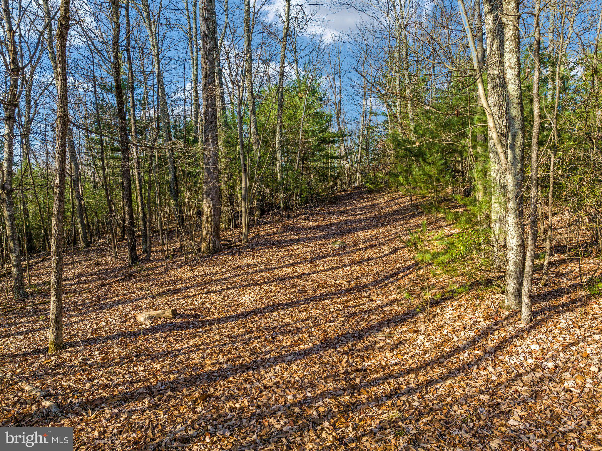 Eagles Nest Lane Castleton, VA 22716 - Photo 15 of 53