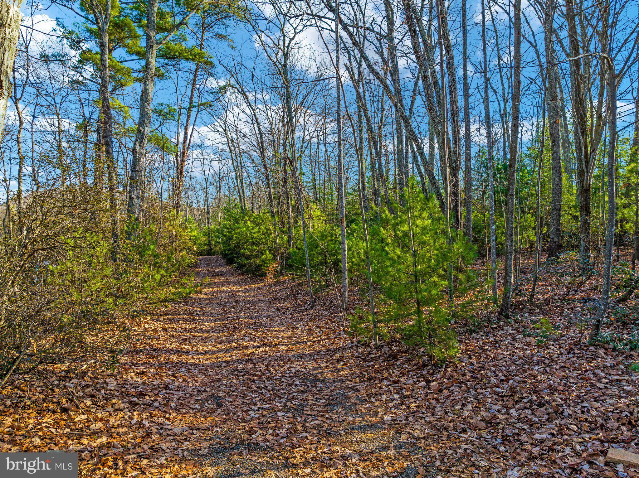 Eagles Nest Lane Castleton, VA 22716 - Photo 18 of 53