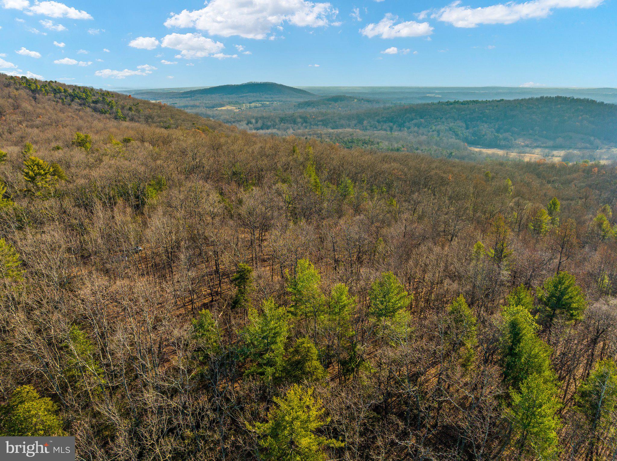 Eagles Nest Lane Castleton, VA 22716 - Photo 20 of 53