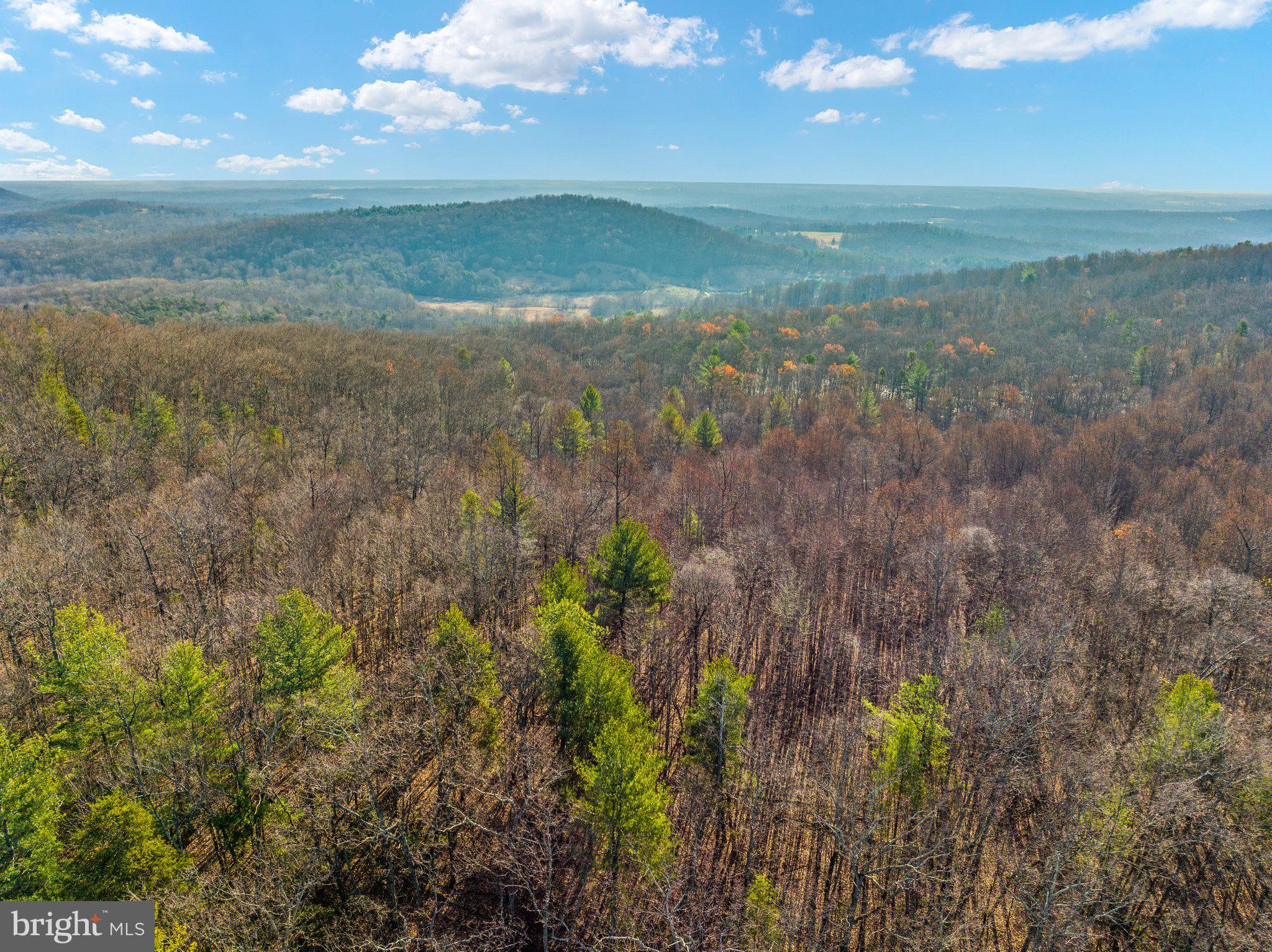 Eagles Nest Lane Castleton, VA 22716 - Photo 24 of 53
