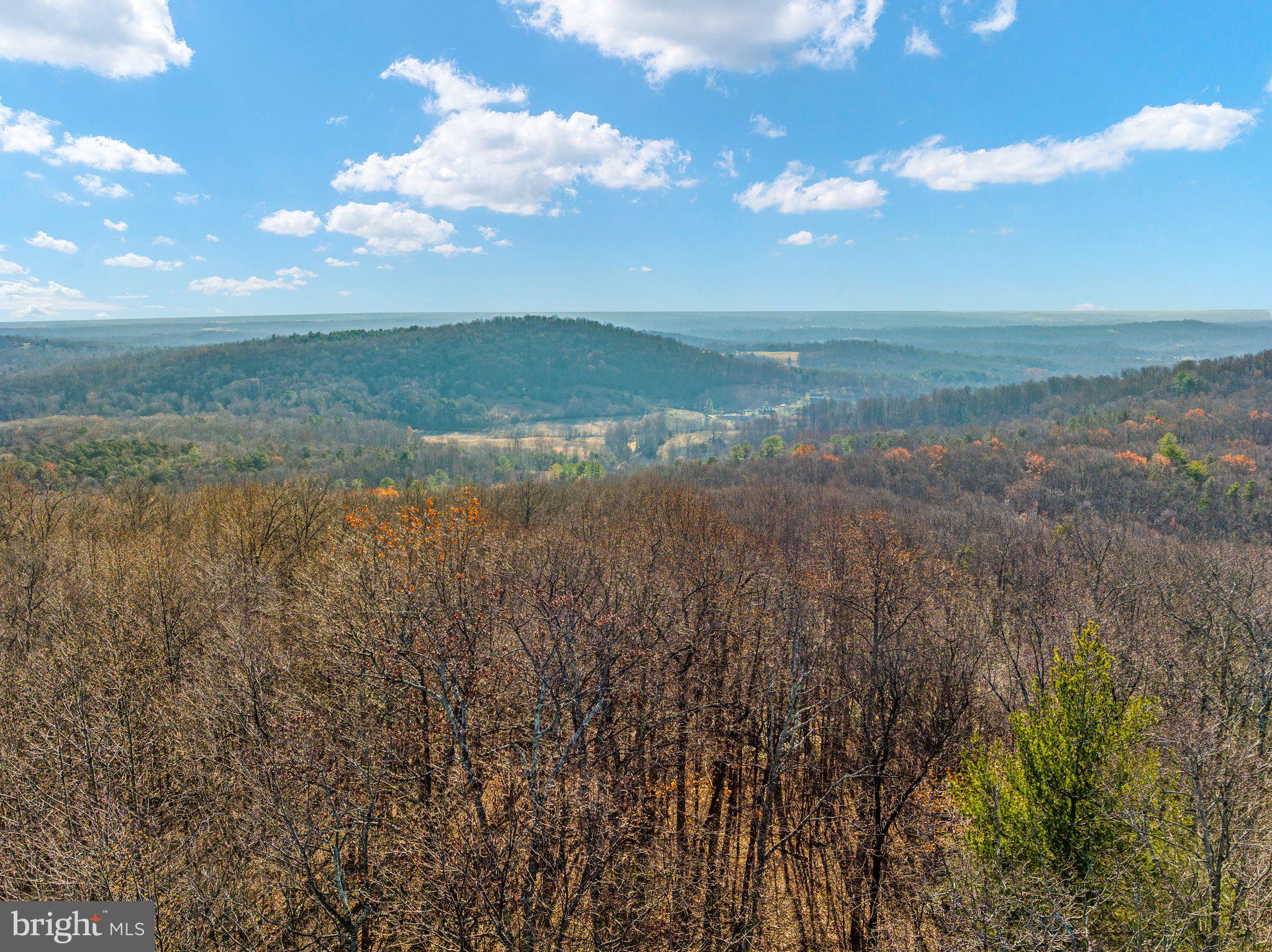 Eagles Nest Lane Castleton, VA 22716 - Photo 26 of 53