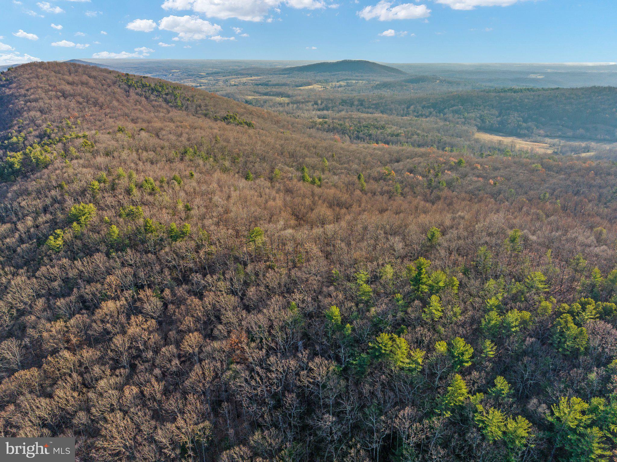 Eagles Nest Lane Castleton, VA 22716 - Photo 28 of 53