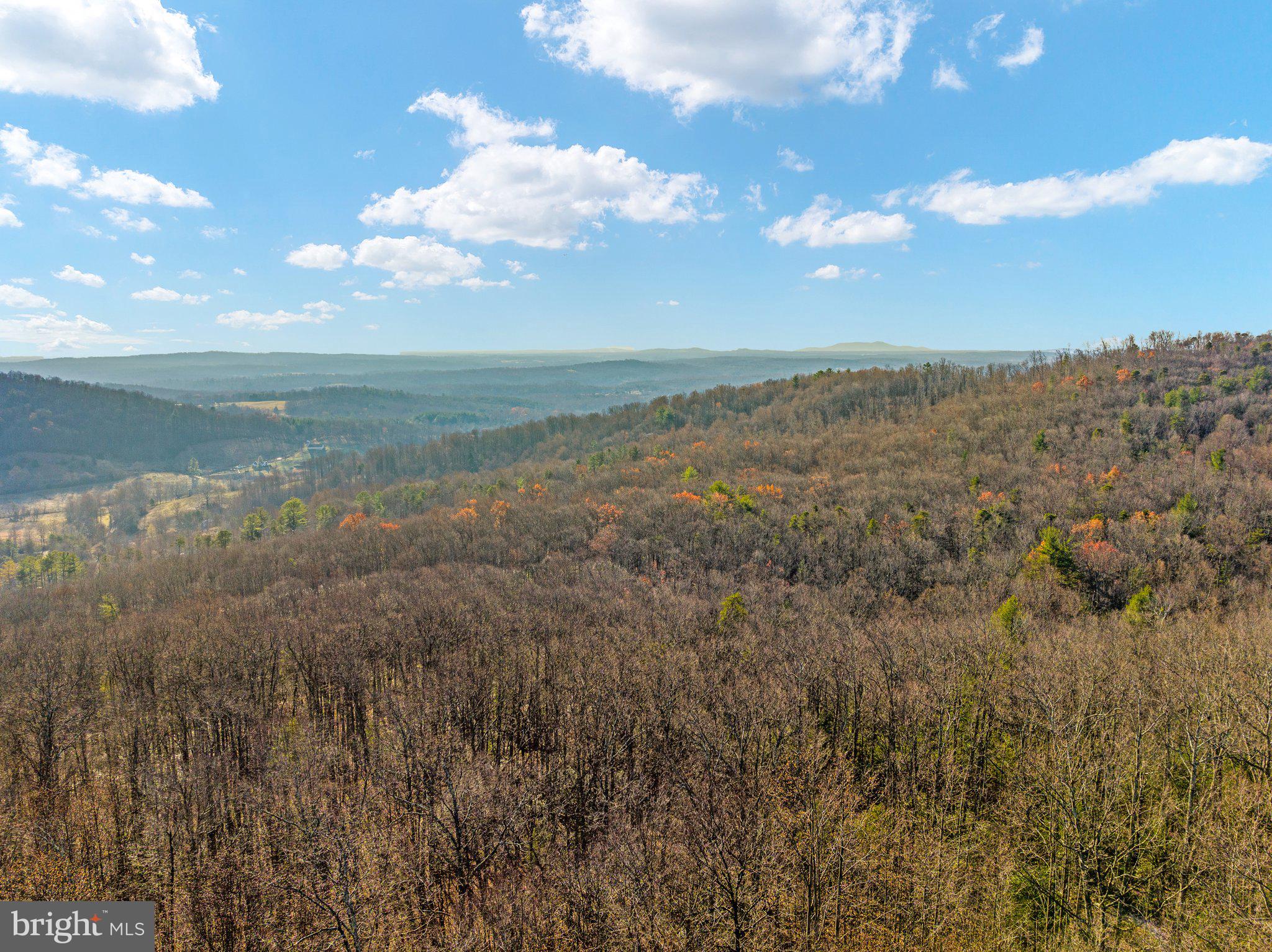 Eagles Nest Lane Castleton, VA 22716 - Photo 3 of 53