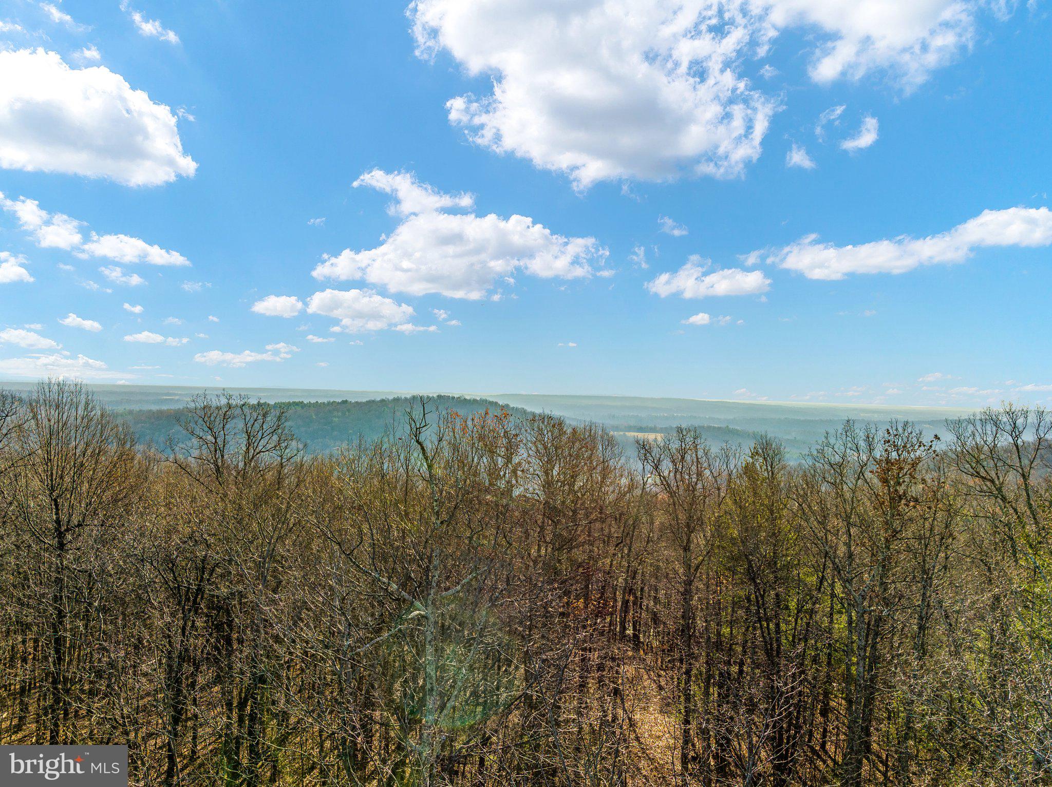 Eagles Nest Lane Castleton, VA 22716 - Photo 31 of 53