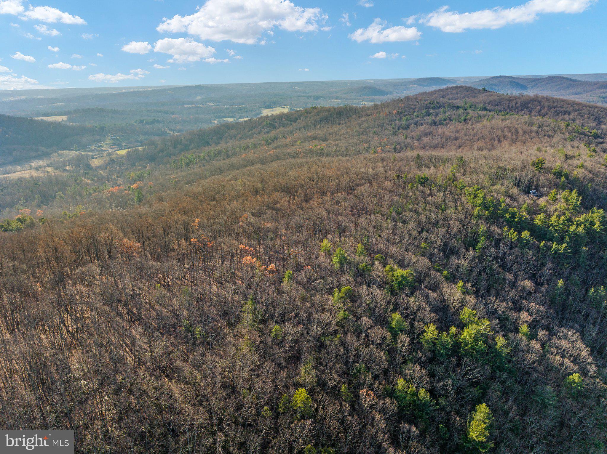 Eagles Nest Lane Castleton, VA 22716 - Photo 32 of 53