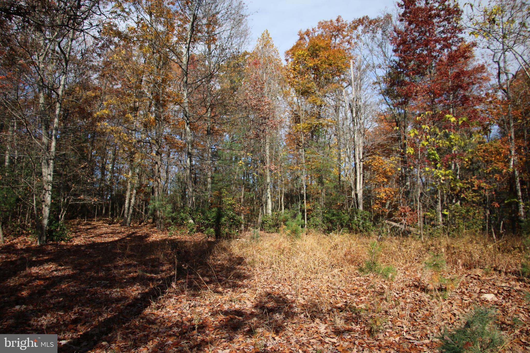 Eagles Nest Lane Castleton, VA 22716 - Photo 33 of 53