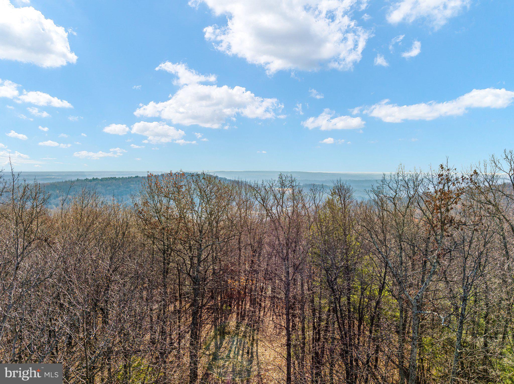 Eagles Nest Lane Castleton, VA 22716 - Photo 36 of 53