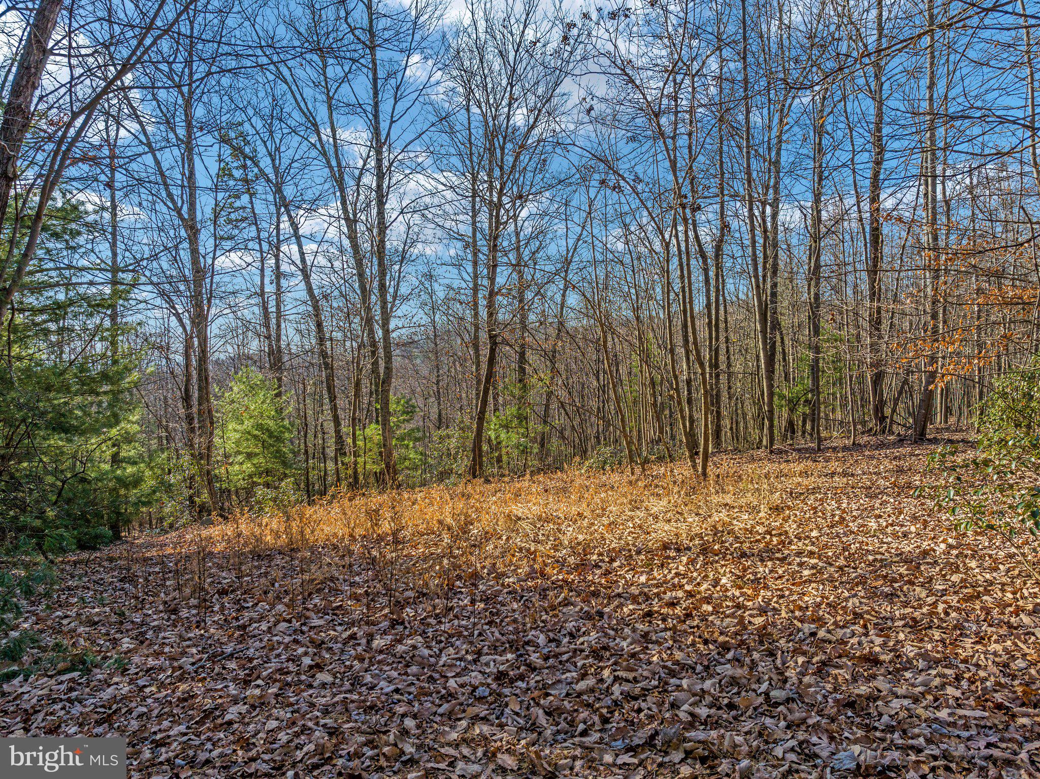 Eagles Nest Lane Castleton, VA 22716 - Photo 39 of 53