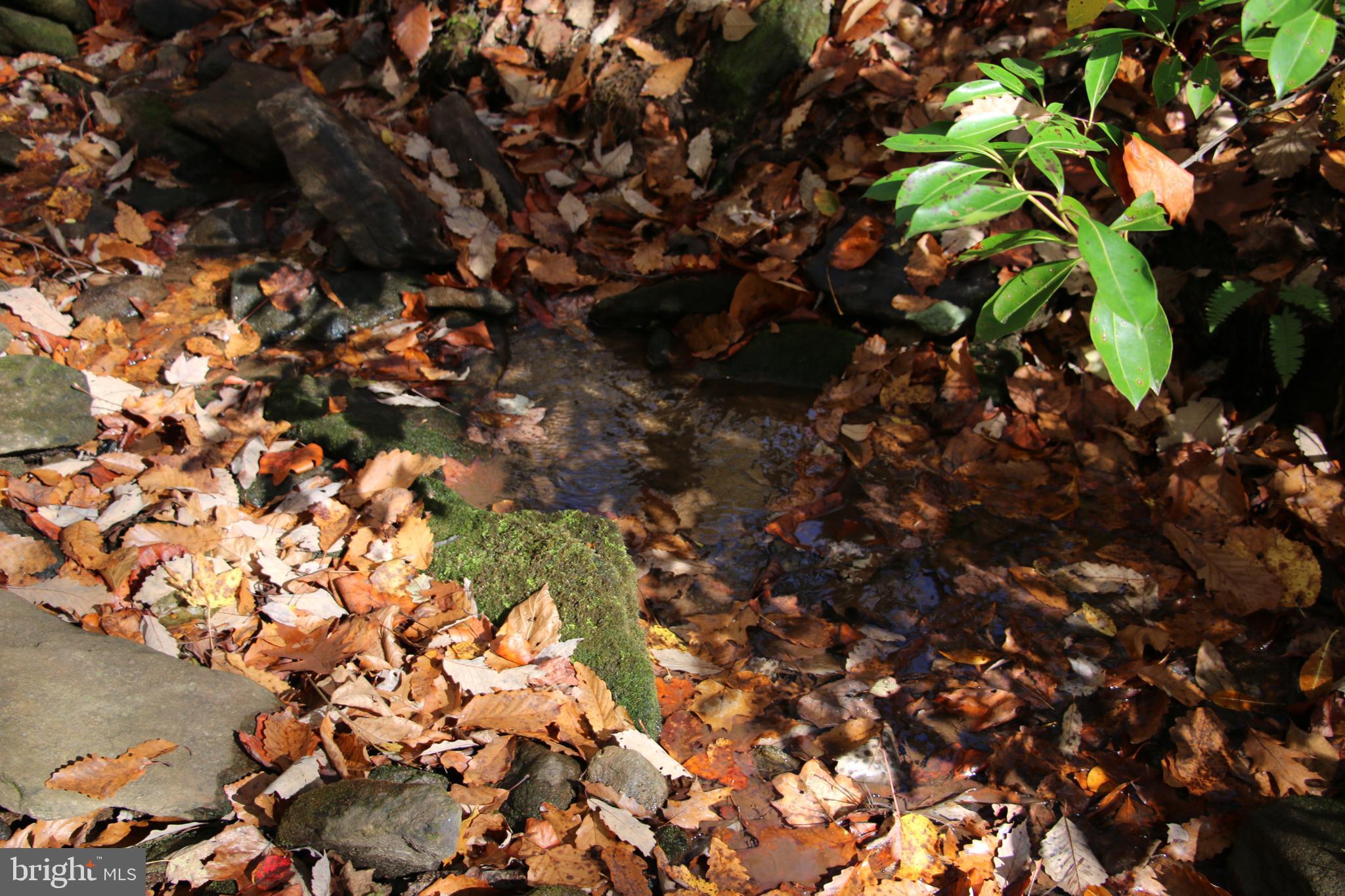Eagles Nest Lane Castleton, VA 22716 - Photo 40 of 53