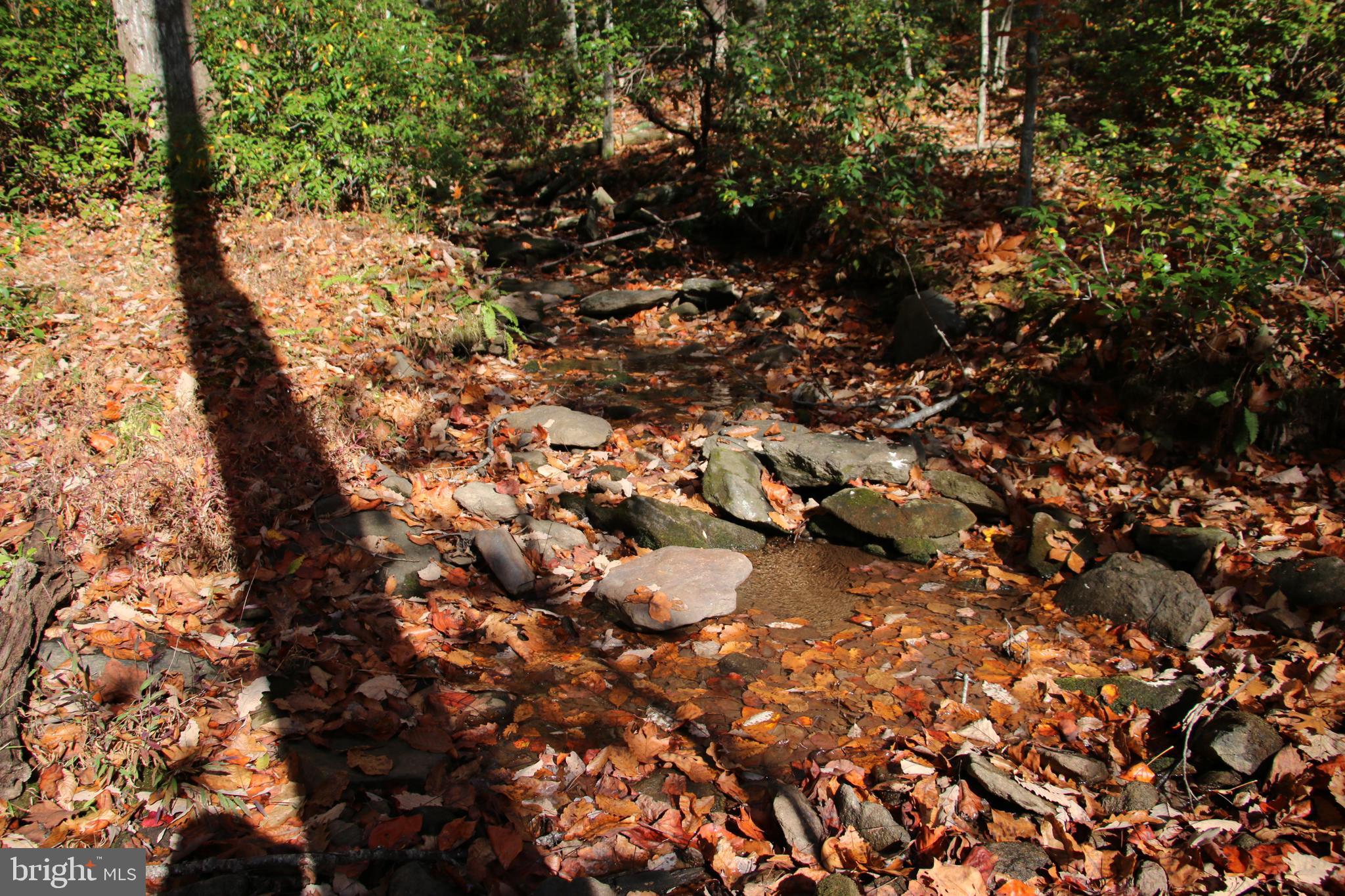 Eagles Nest Lane Castleton, VA 22716 - Photo 4 of 53