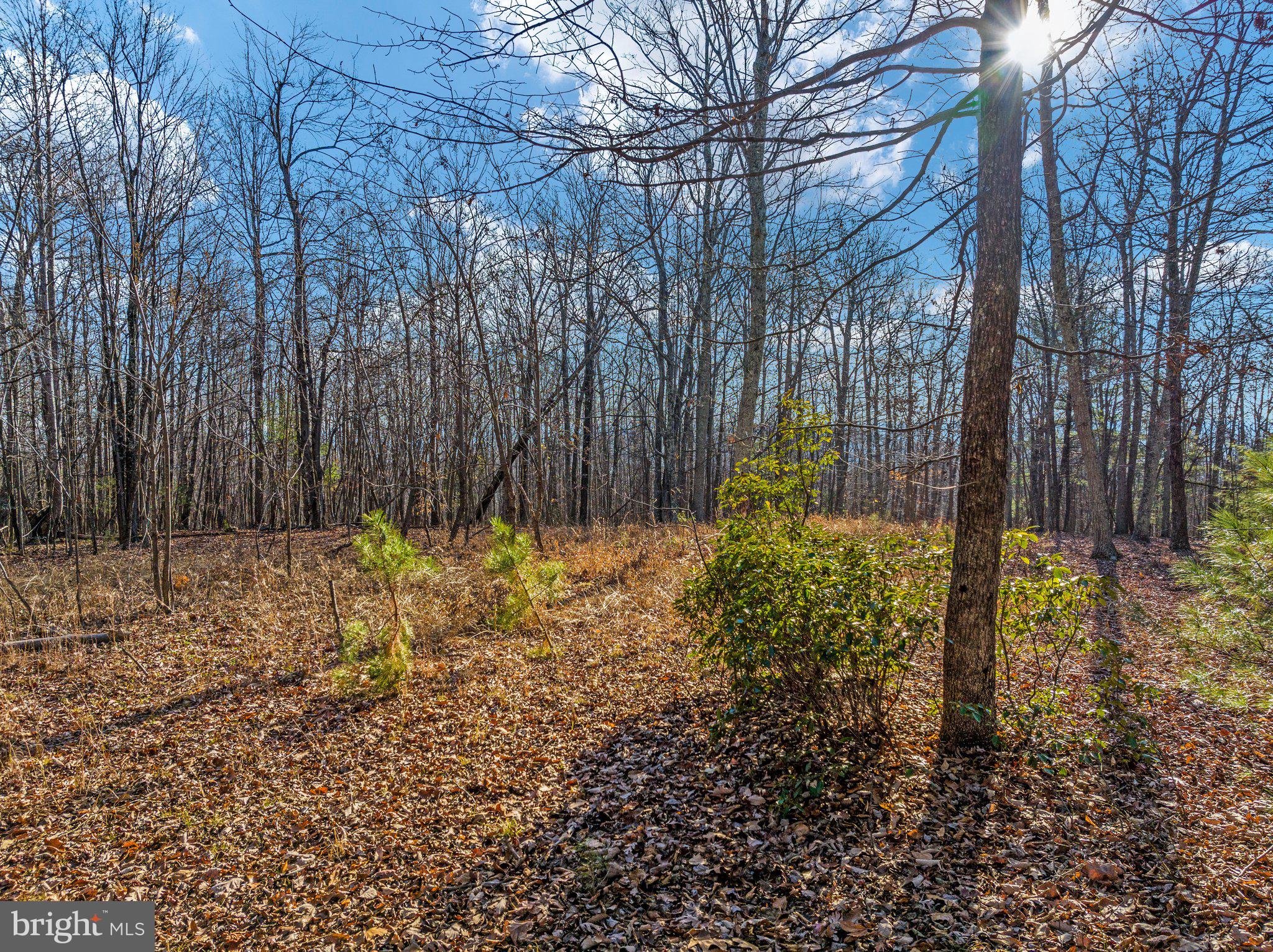 Eagles Nest Lane Castleton, VA 22716 - Photo 41 of 53