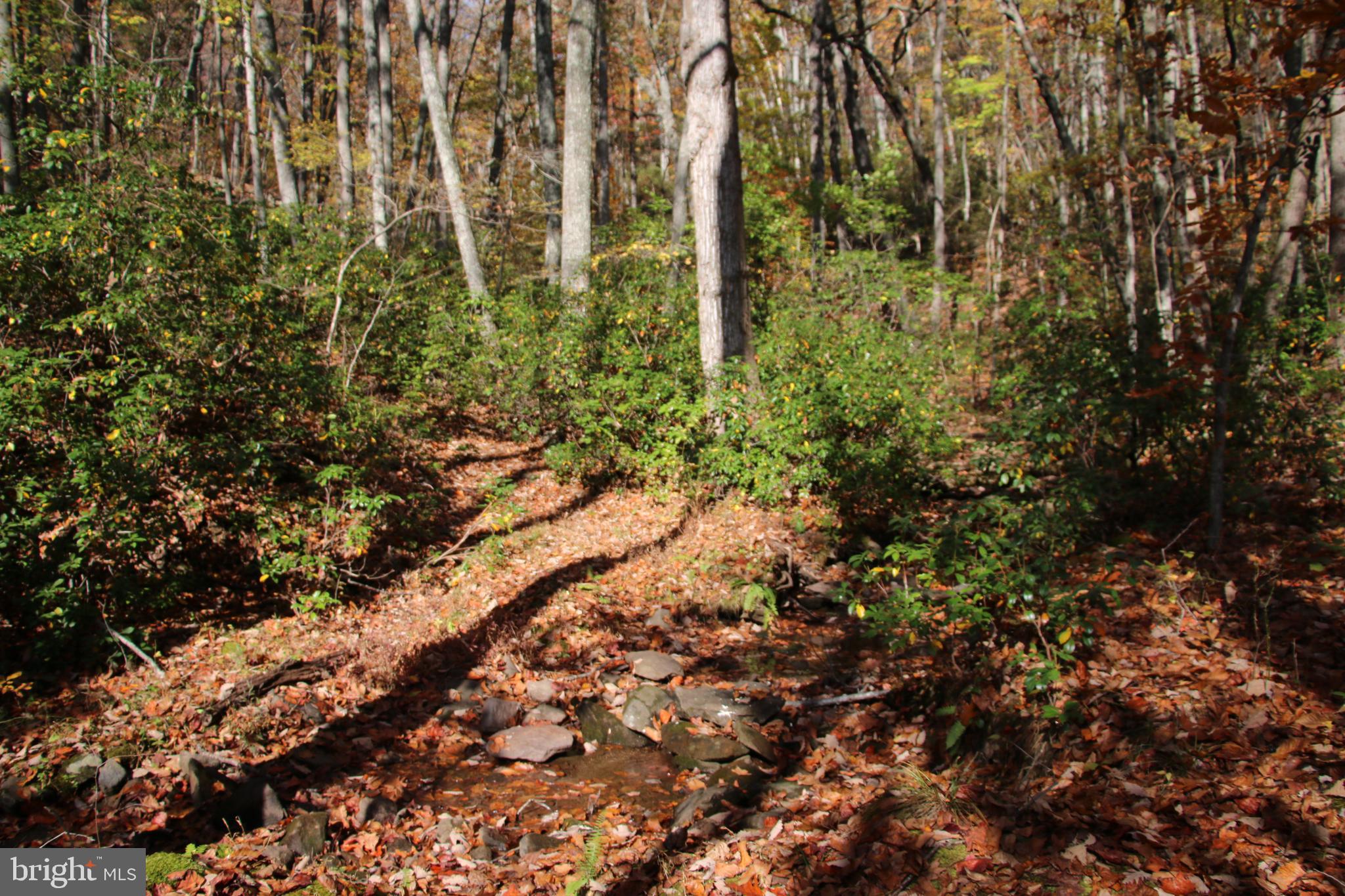 Eagles Nest Lane Castleton, VA 22716 - Photo 44 of 53