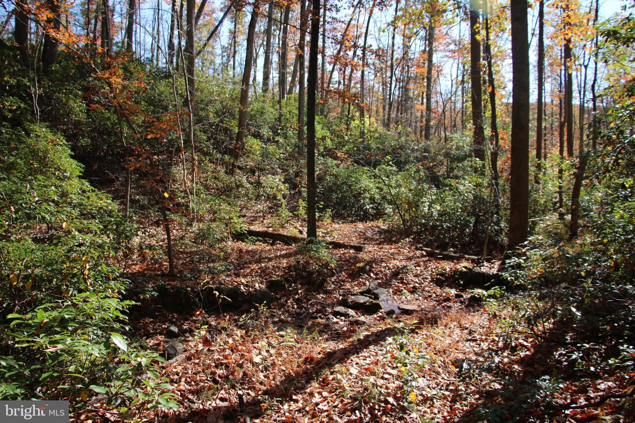 Eagles Nest Lane Castleton, VA 22716 - Photo 45 of 53