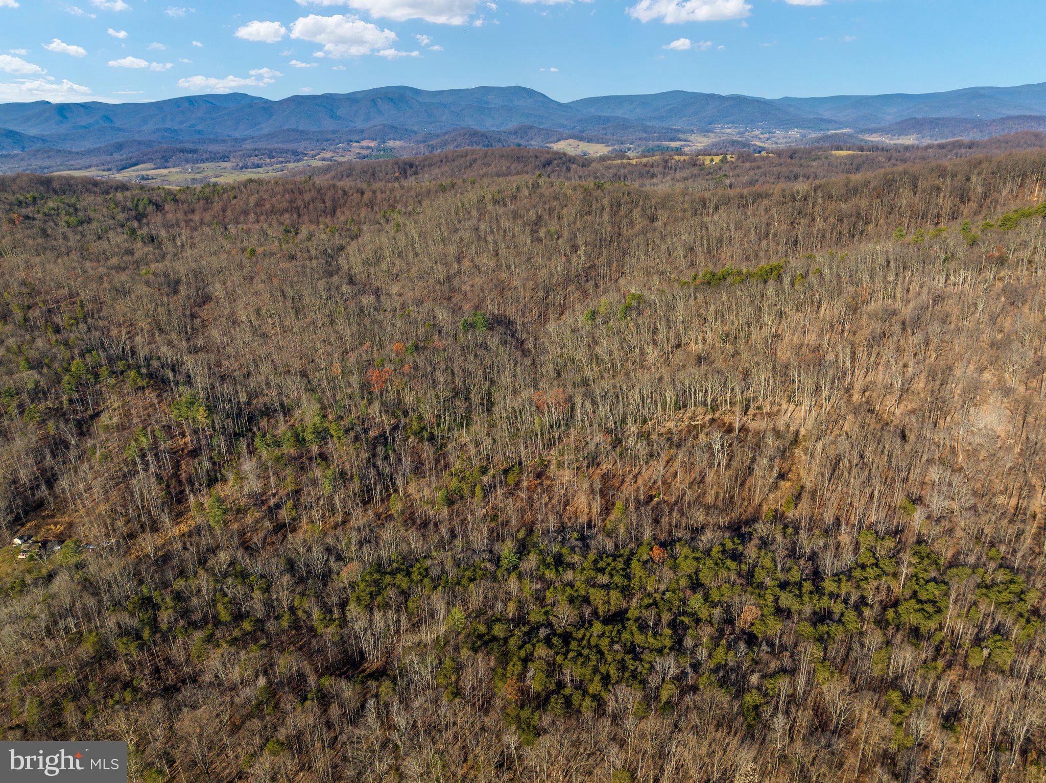 Eagles Nest Lane Castleton, VA 22716 - Photo 5 of 53