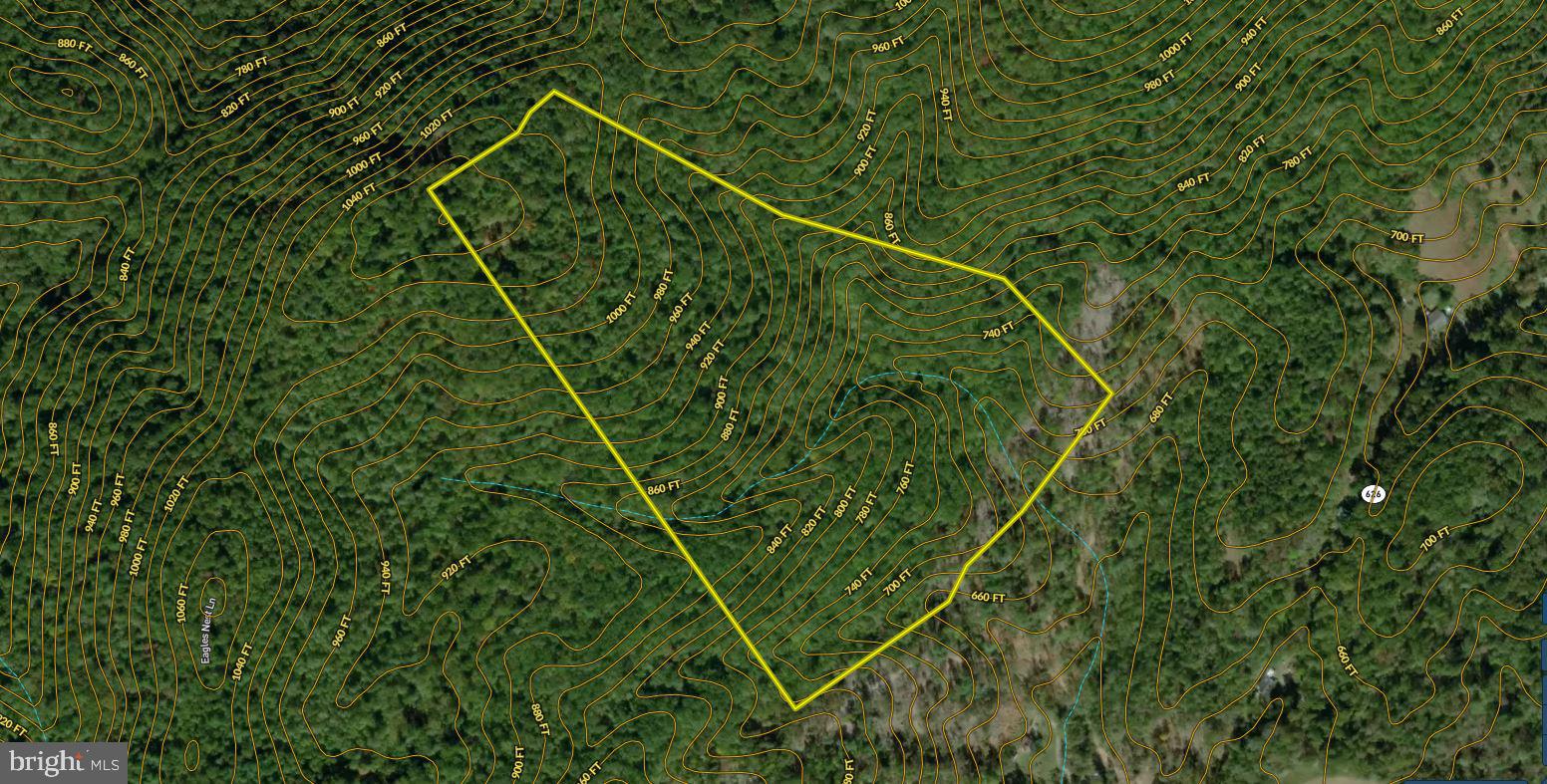 Eagles Nest Lane Castleton, VA 22716 - Photo 51 of 53