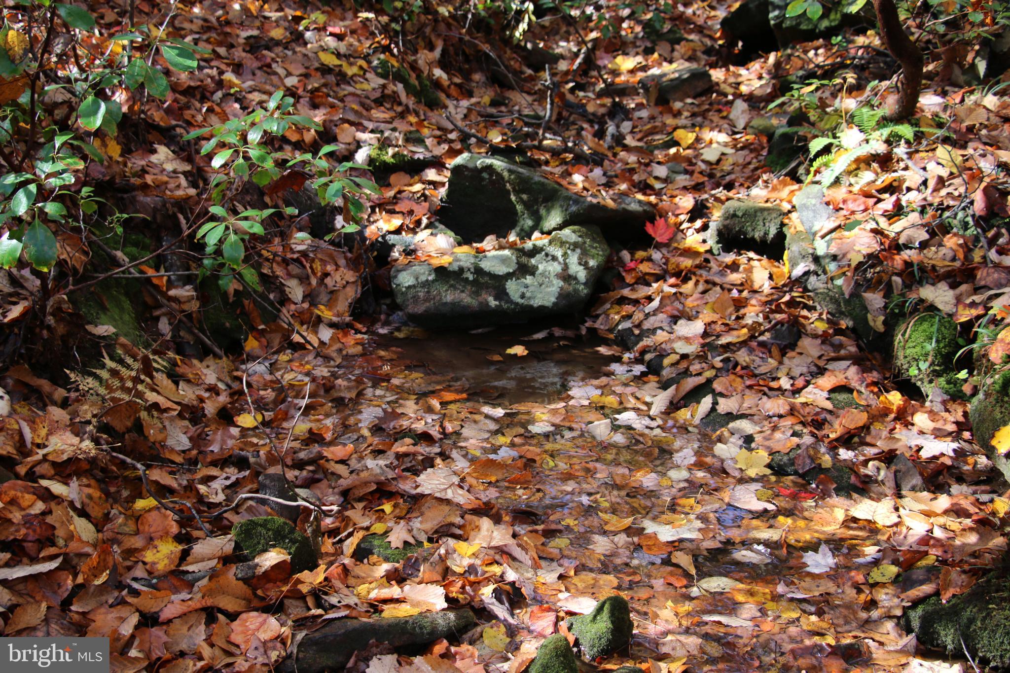 Eagles Nest Lane Castleton, VA 22716 - Photo 6 of 53