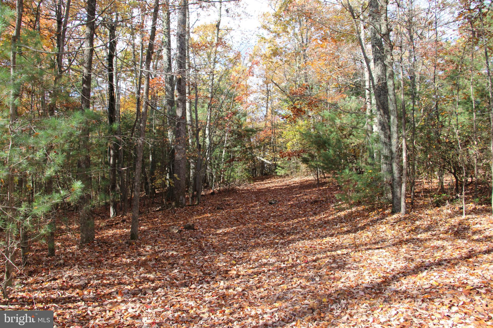 Eagles Nest Lane Castleton, VA 22716 - Photo 9 of 53
