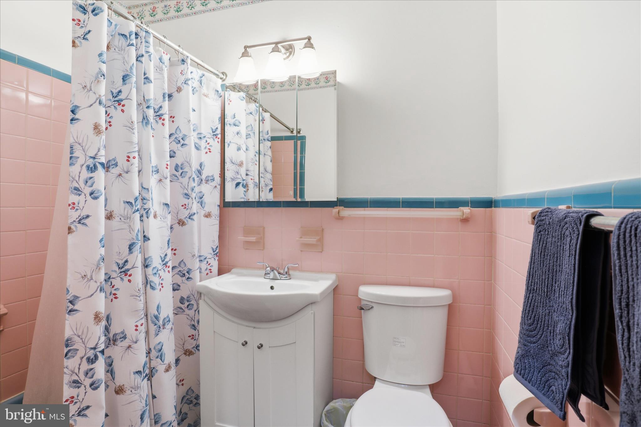 5811 Kirby Road Clinton, MD 20735 - Photo 22 of 43 a bathroom with a sink a toilet and shower