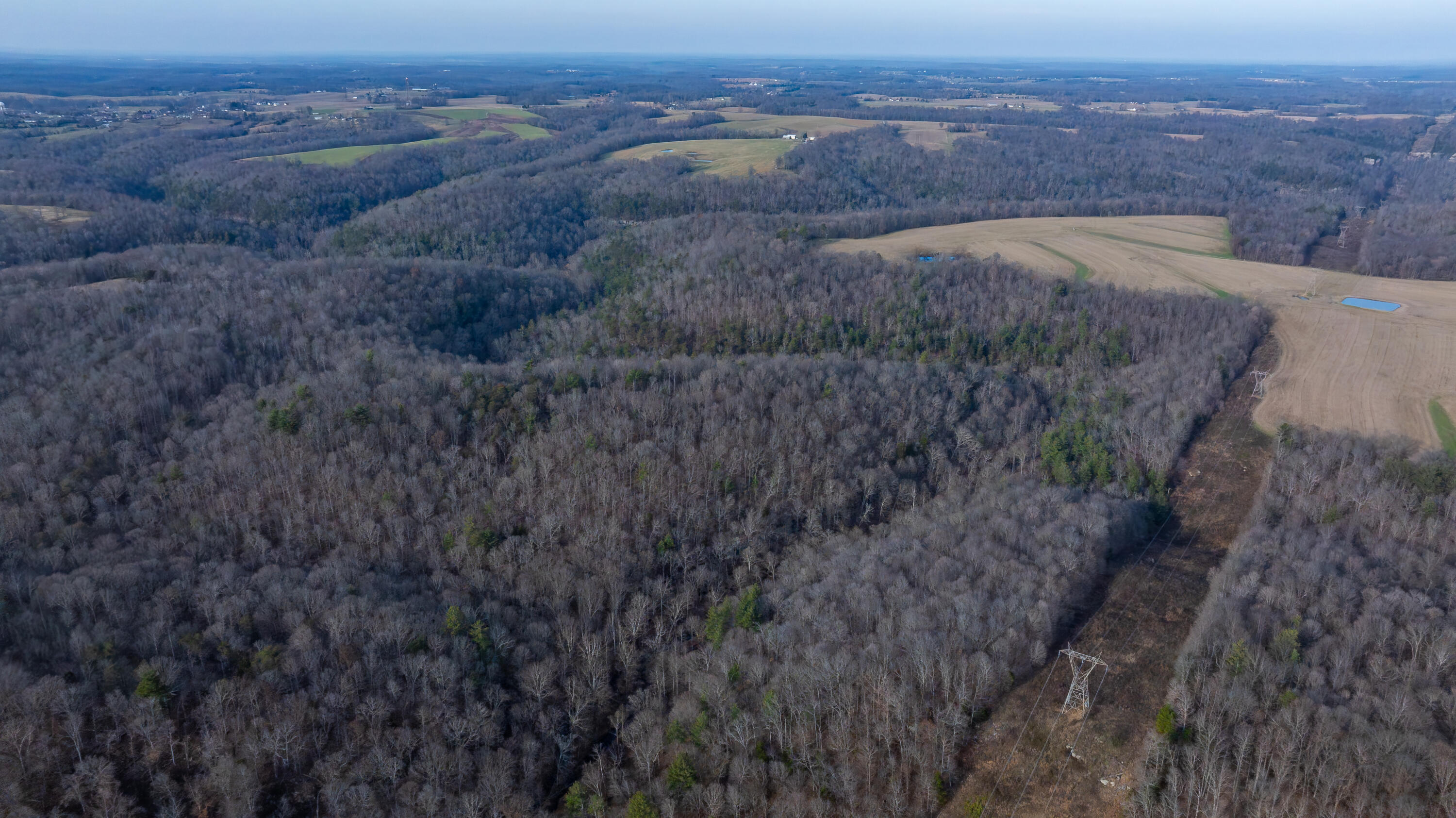 0 Coal Bank Road Sharon Grove, KY 42280 - Photo 5 of 16 DJI_20251212142016_0164_D-HDR