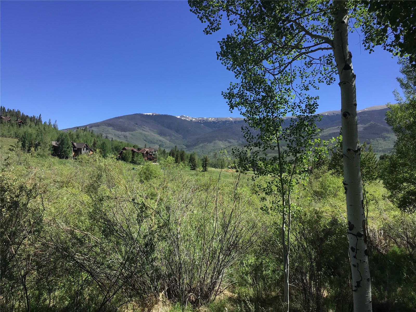 734 Wild Rose Road Silverthorne, CO 80498 - Photo 41 of 50 Summer Setting