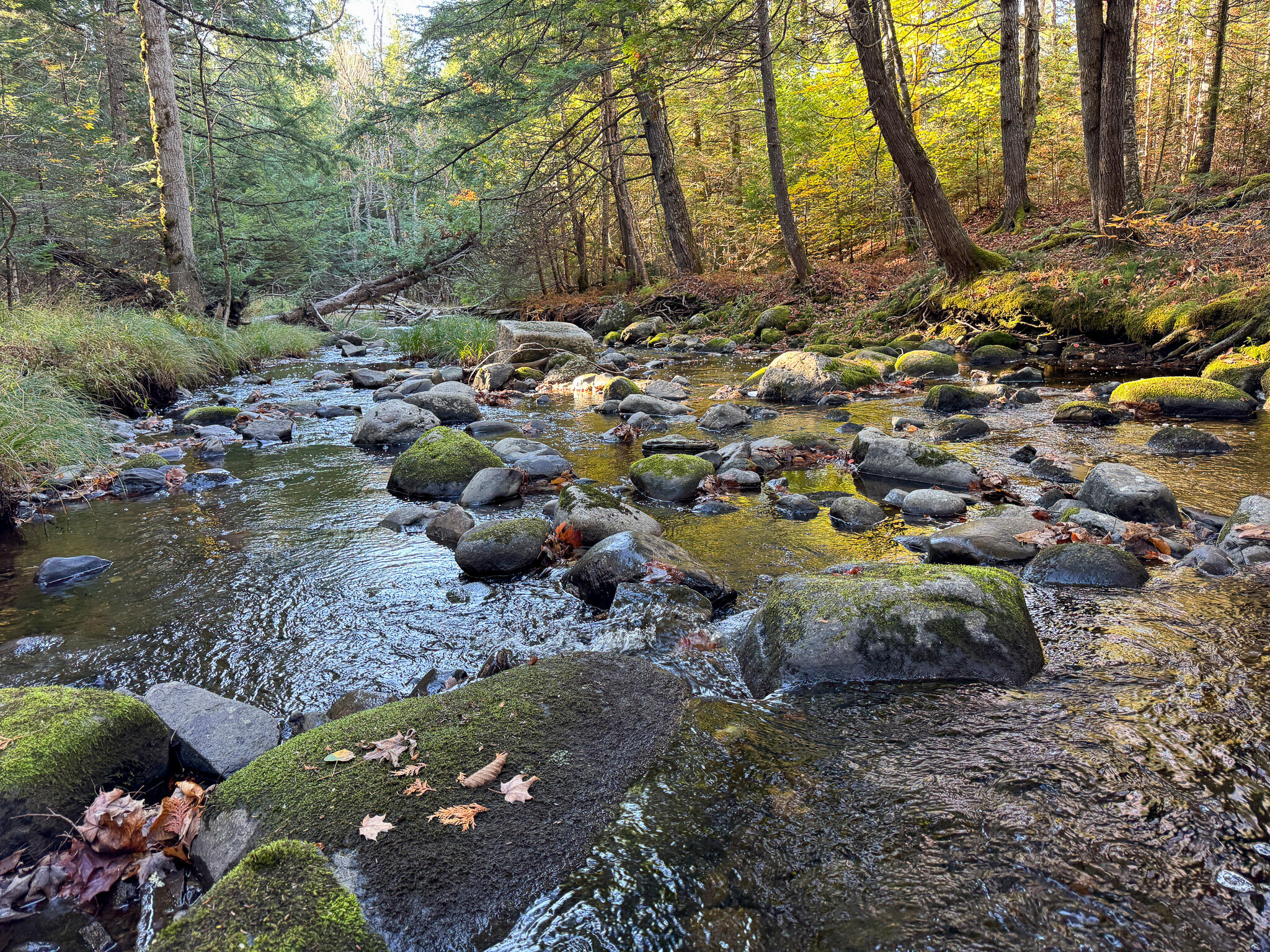 74 Castle Road Harmony, ME 04942 - Photo 29 of 33 29