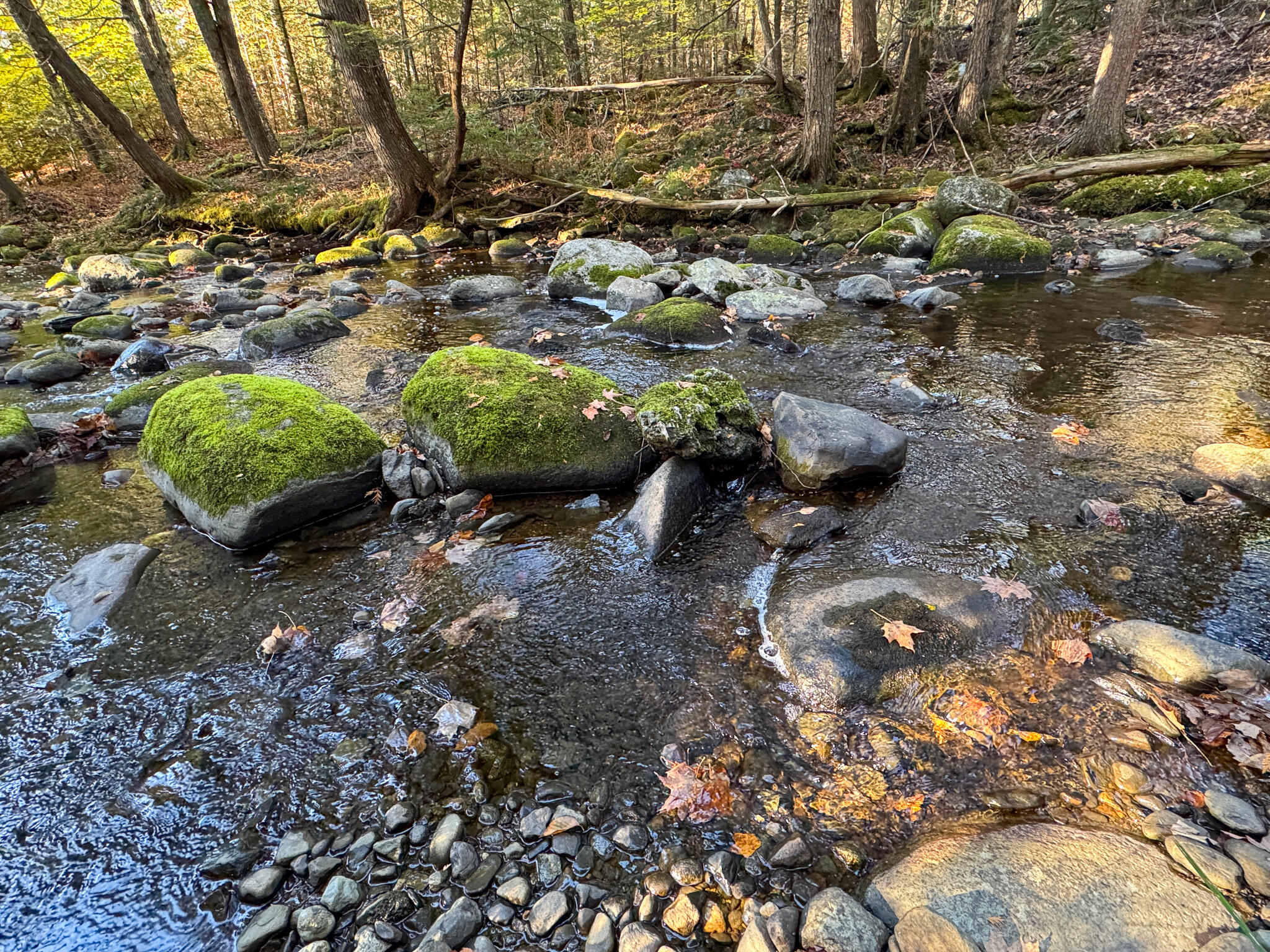 74 Castle Road Harmony, ME 04942 - Photo 30 of 33 30