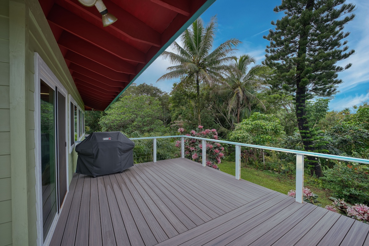 14-3674 Government Beach Road Pahoa, HI 96778 - Photo 12 of 29 a view of balcony with furniture