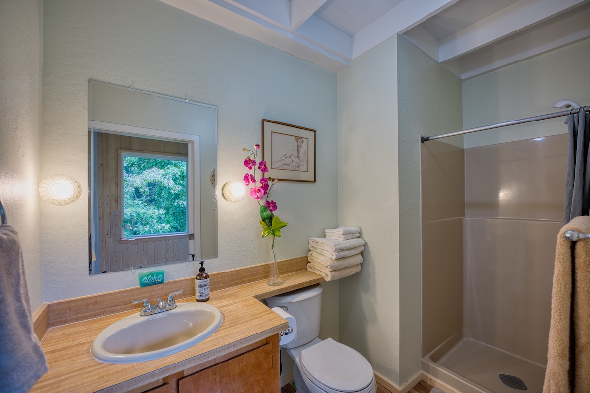 14-3674 Government Beach Road Pahoa, HI 96778 - Photo 18 of 29 a bathroom with a sink toilet and shower