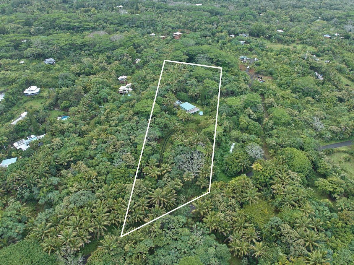 14-3674 Government Beach Road Pahoa, HI 96778 - Photo 27 of 29 a view of a plant in a field