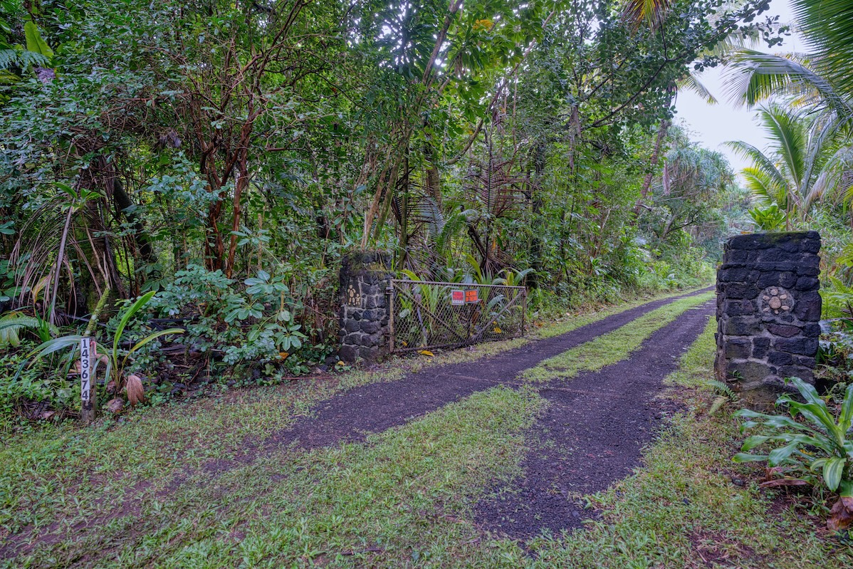 14-3674 Government Beach Road Pahoa, HI 96778 - Photo 28 of 29 a view of a backyard with potted plants and large trees