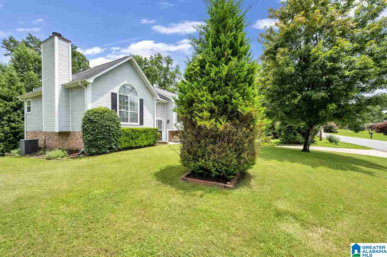 6481 Water Works Road Mount Olive, AL 35117 - Photo 23 of 30