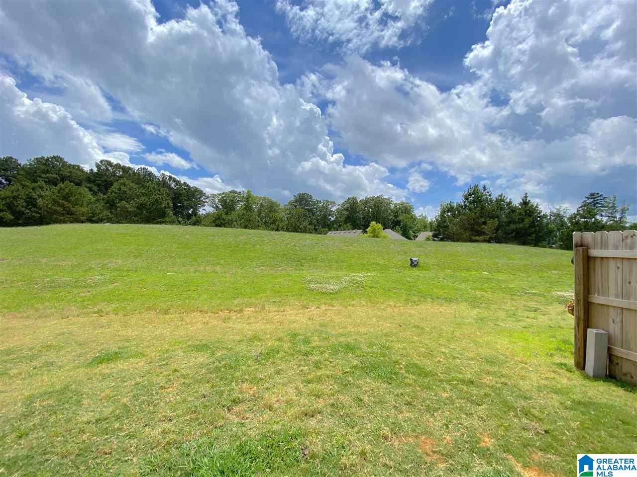 581 Polo Way Chelsea, AL 35043 - Photo 28 of 29