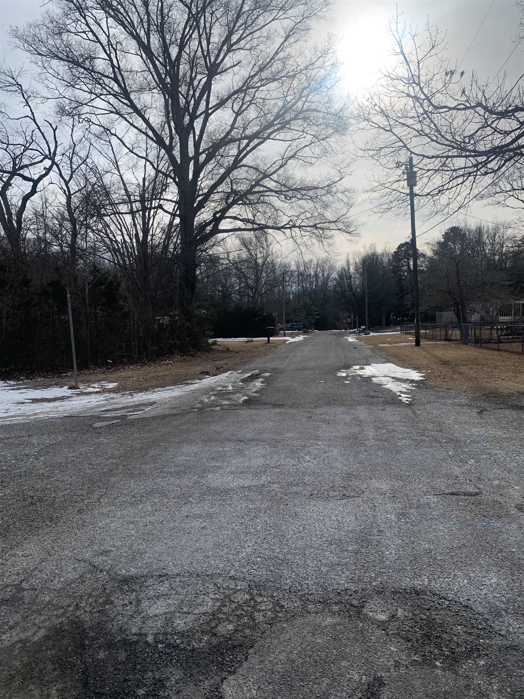 20 North 10th Avenue Rio Grande, NJ 08242 - Photo 3 of 7 a backyard of a house with lots of green space