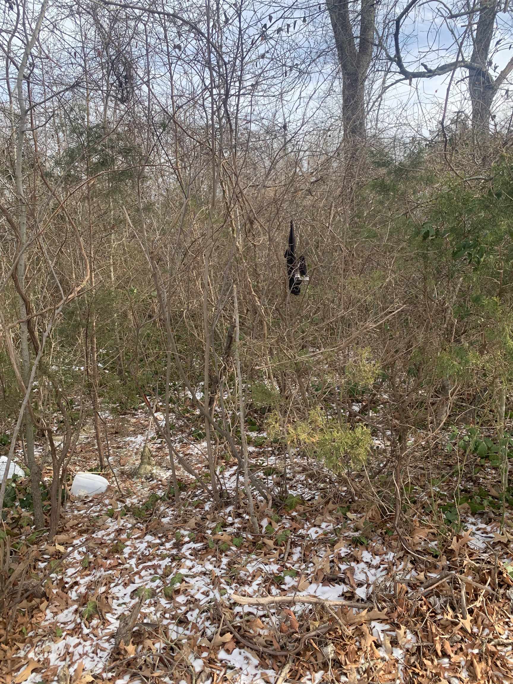 20 North 10th Avenue Rio Grande, NJ 08242 - Photo 5 of 7 a view of a house with a tree