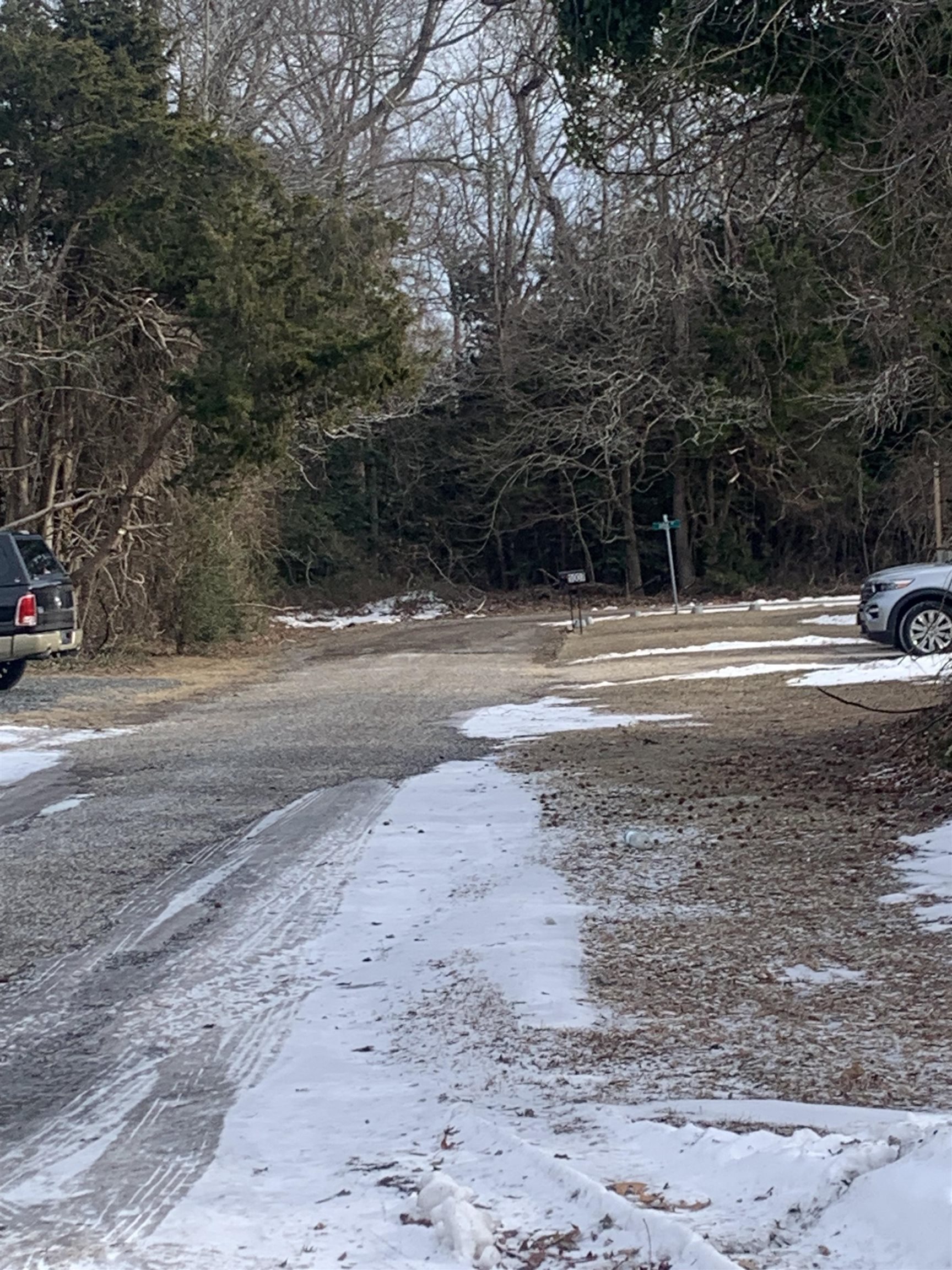 20 North 10th Avenue Rio Grande, NJ 08242 - Photo 7 of 7 a view of a yard with large trees