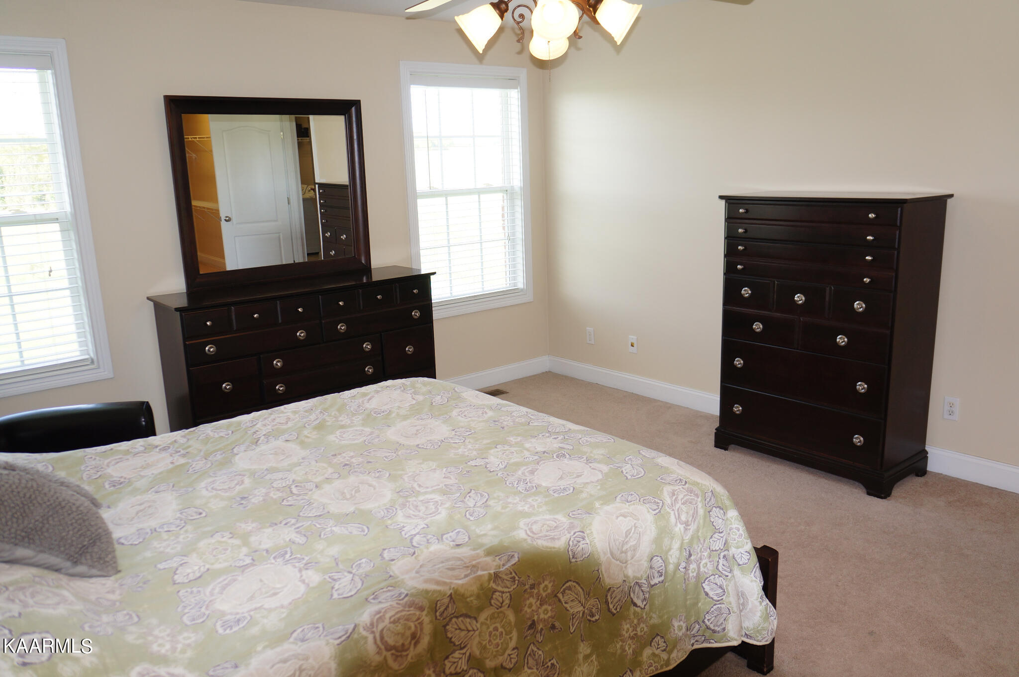 660 Craigs Chapel Road Greenback, TN 37742 - Photo 5 of 25 04