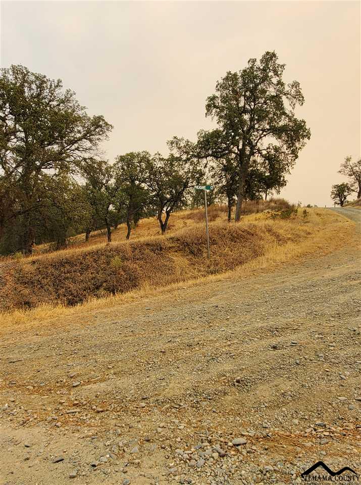 16575 Oakridge Road Corning, CA 96021 - Photo 9 of 21