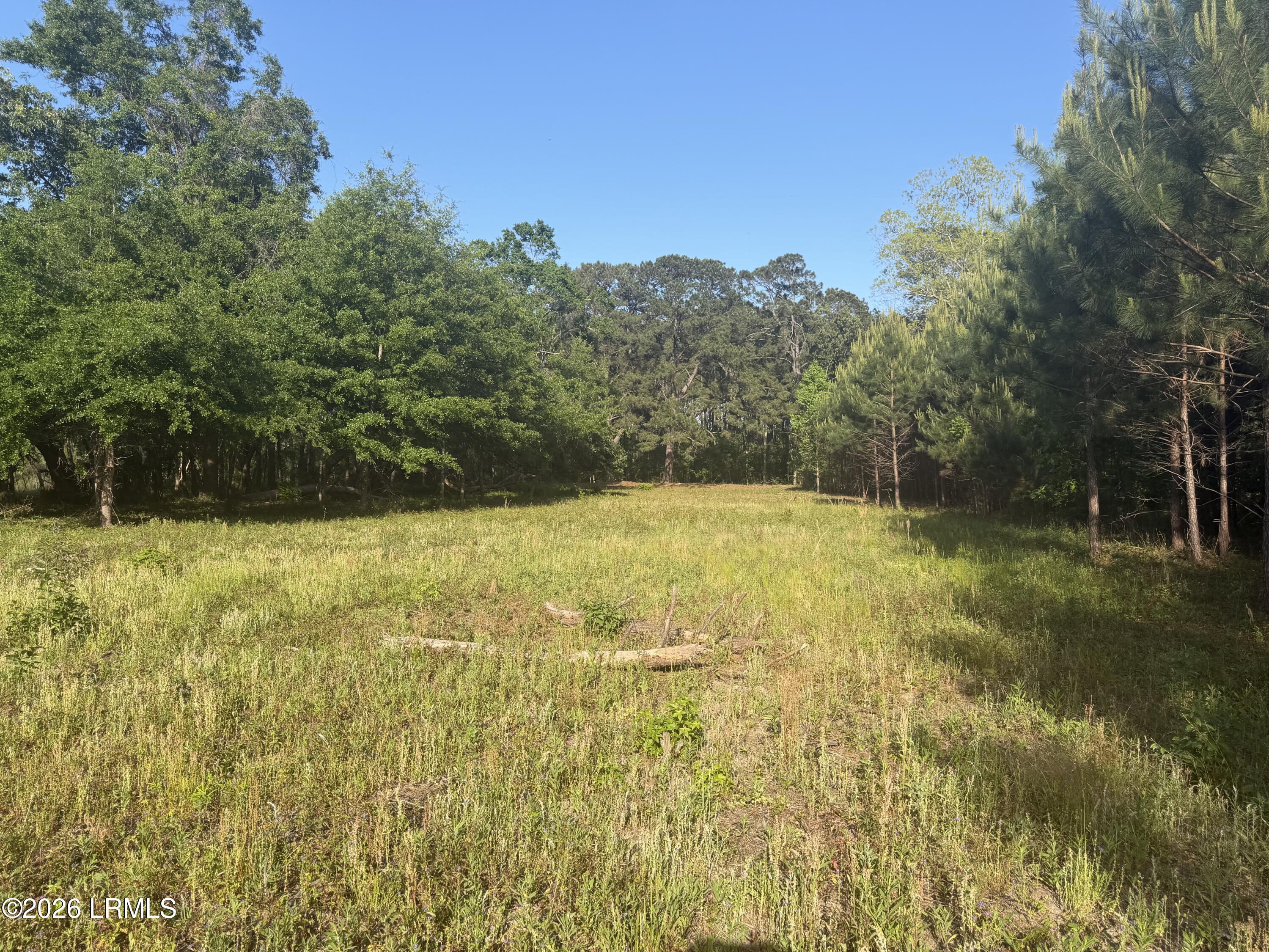 177 State Rd S-7-196 Seabrook, SC 29940 - Photo 2 of 4 IMG_0159