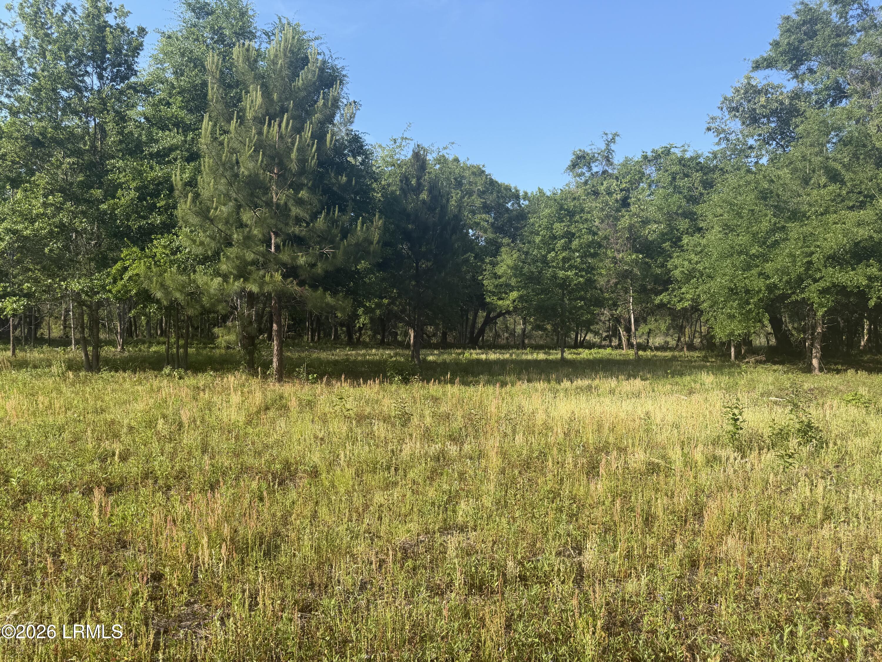177 State Rd S-7-196 Seabrook, SC 29940 - Photo 3 of 4 IMG_0160
