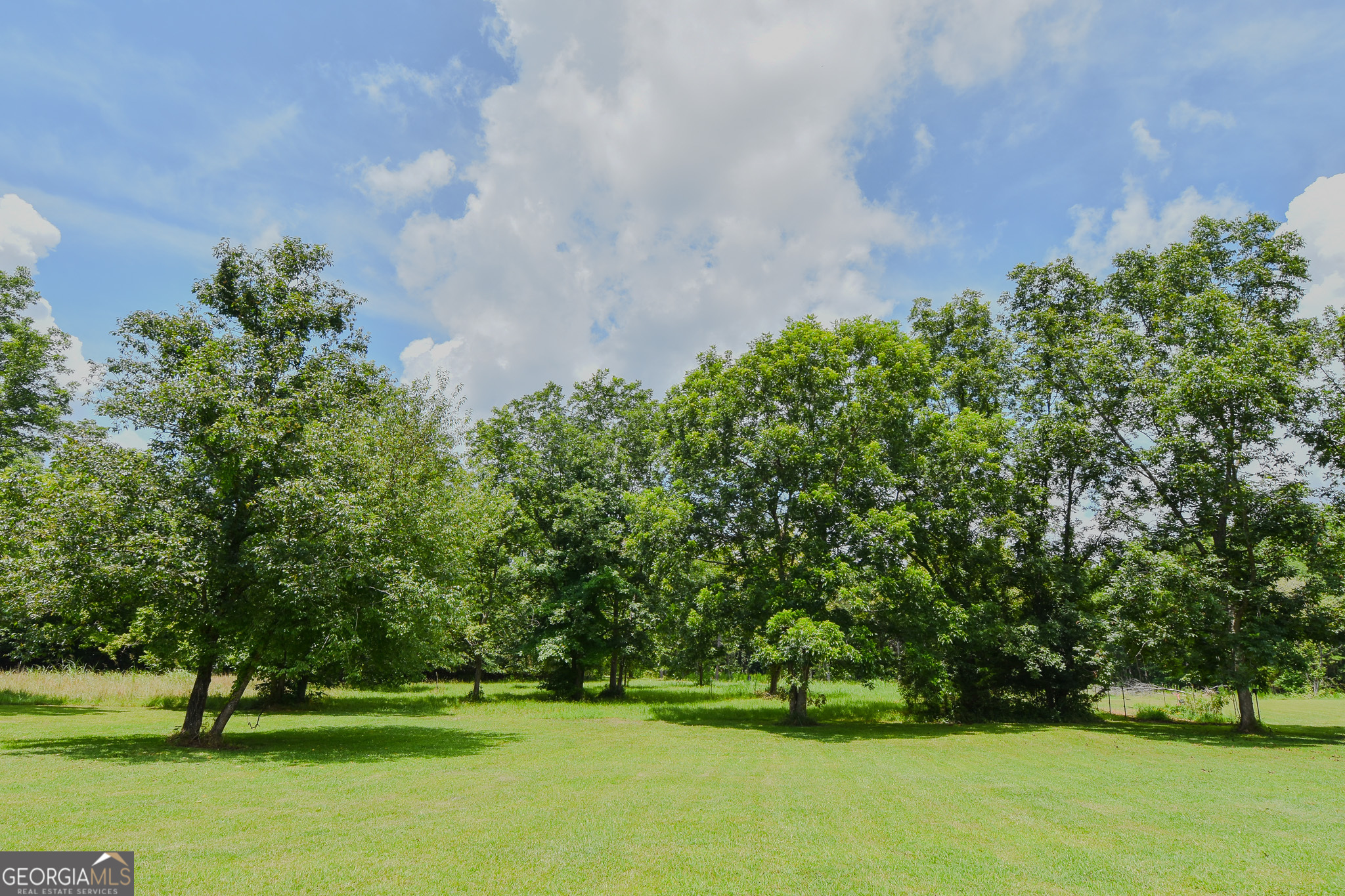 892 Thurston School Road Thomaston, GA 30286 - Photo 9 of 53
