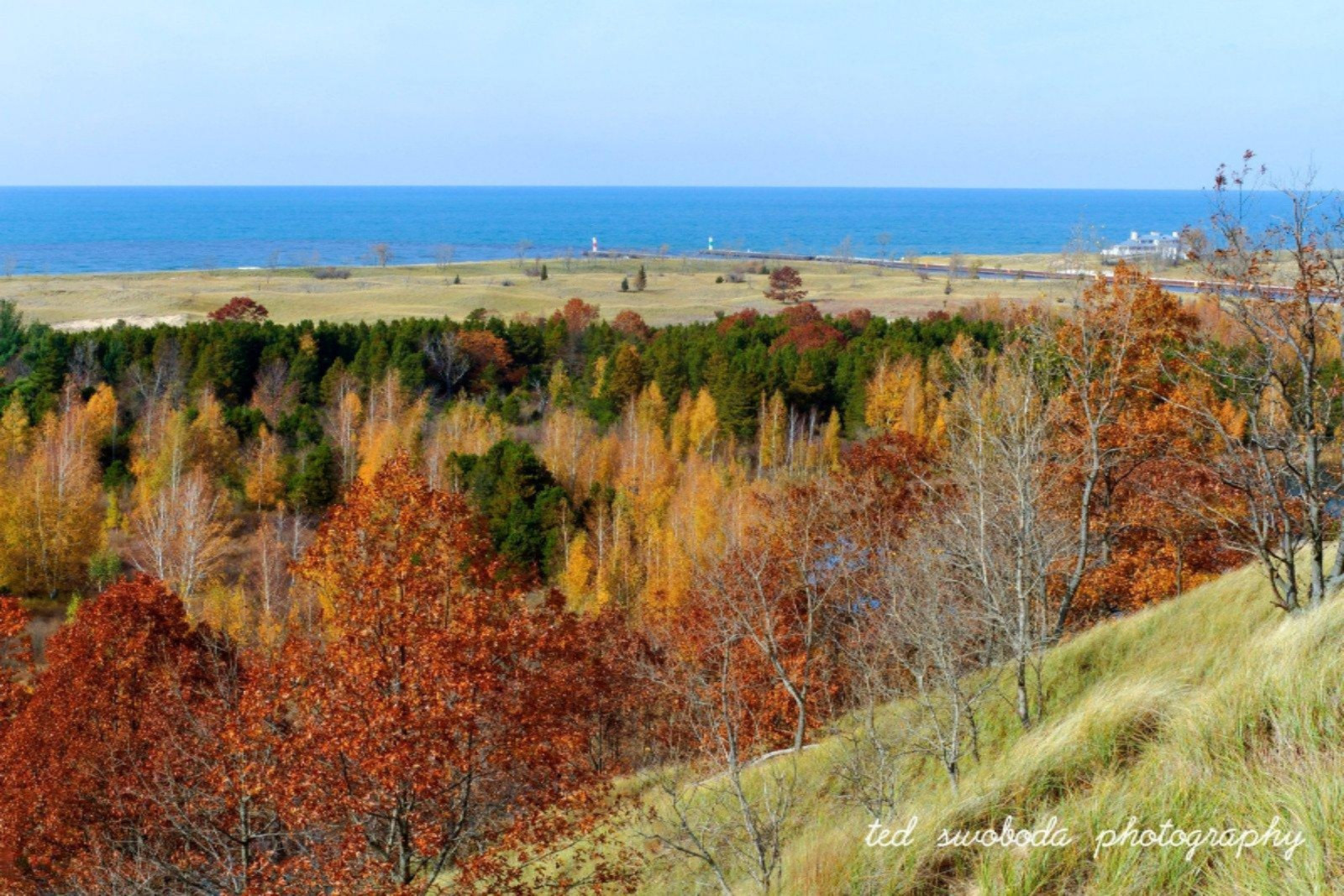 3574 Saugatuck Bch Road Saugatuck, MI 49453 - Photo 97 of 109 singapore dunes ted swoboda (12)