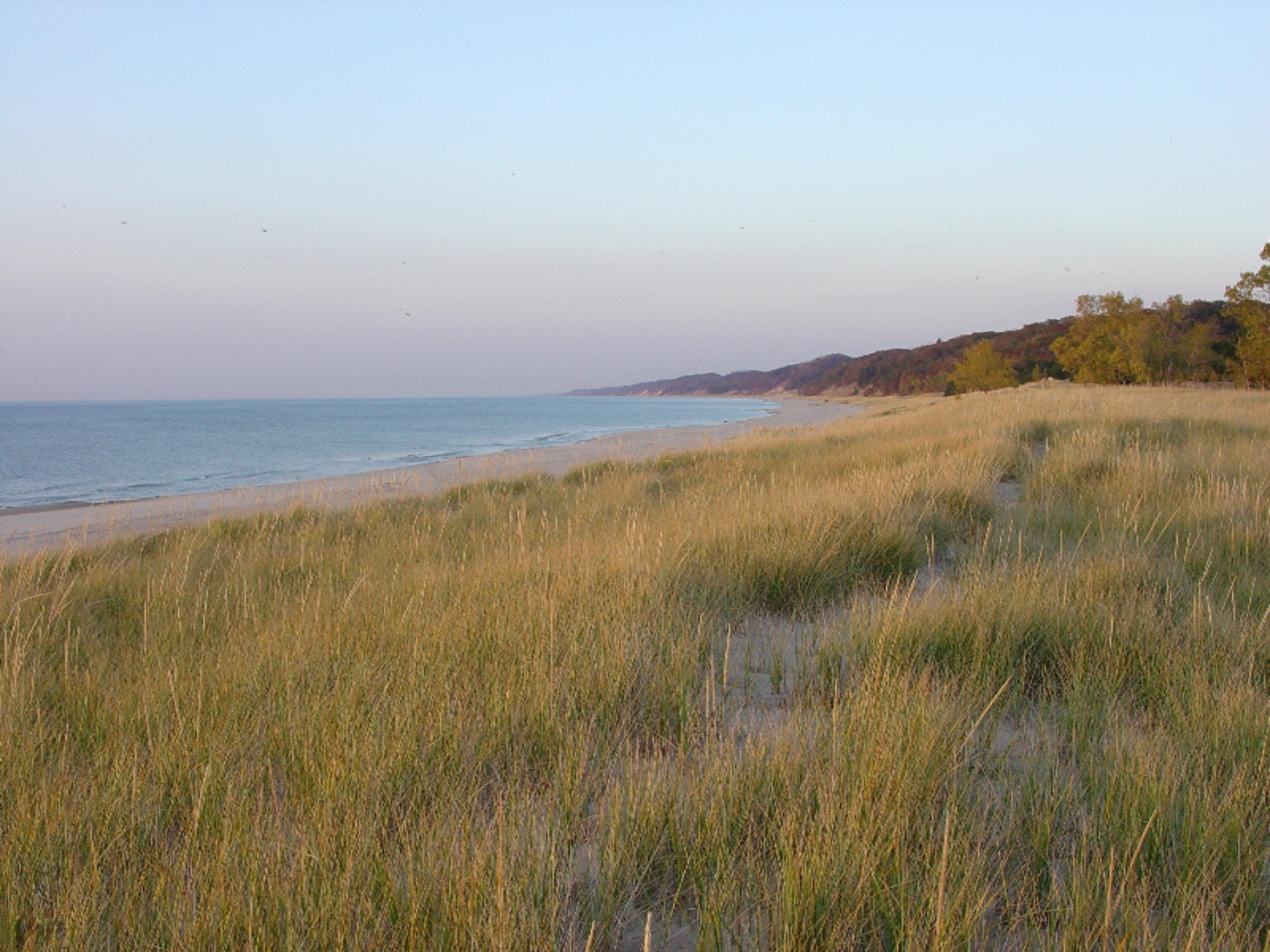 3574 Saugatuck Bch Road Saugatuck, MI 49453 - Photo 98 of 109 singapore dunes (4)