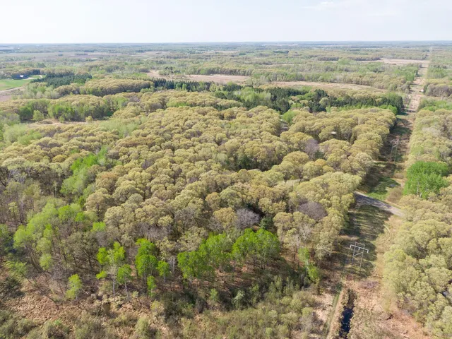 $650,000 | 10904 Harvest Road, Little Falls, MN 56345