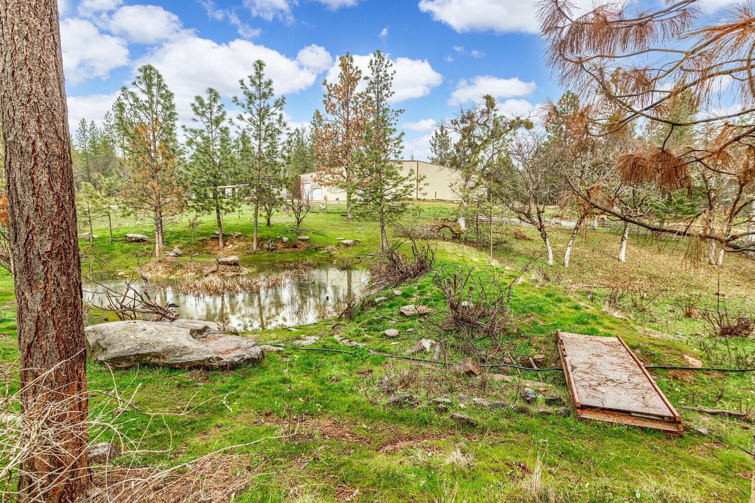 Seasonal pond