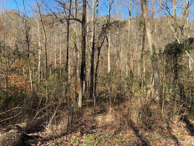 Early Road, Unit 3 Knoxville, TN 37922 - Photo 6 of 9 image2 (1)