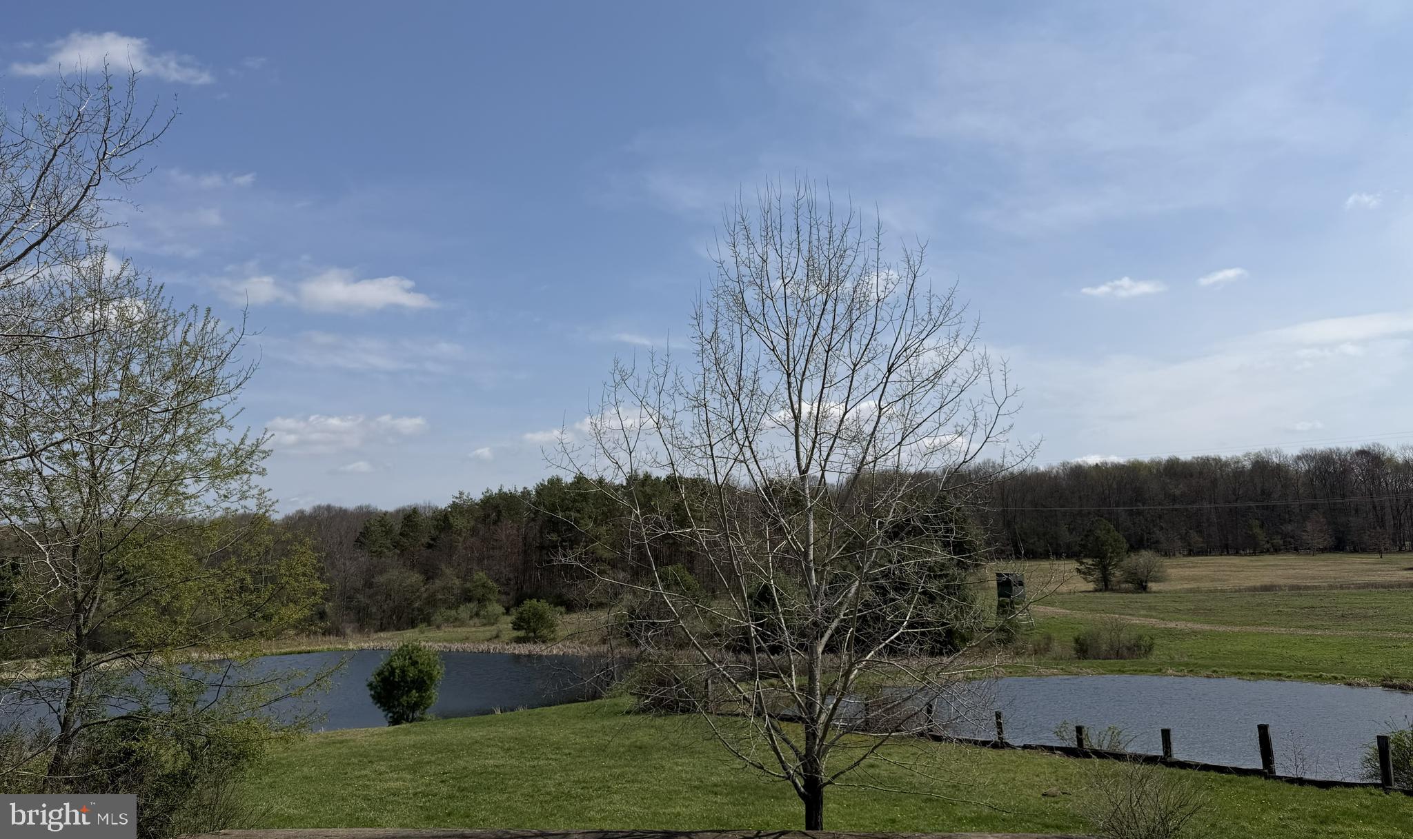1781 Hazelet Church Road Cherry Tree, PA 15724 - Photo 13 of 19