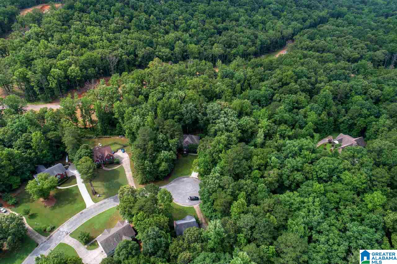 135 Brynhurst Drive Chelsea, AL 35043 - Photo 36 of 37